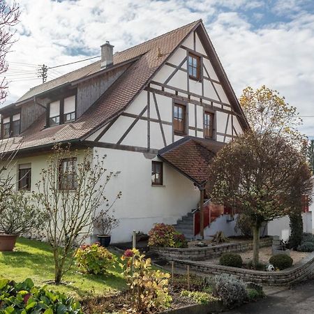 Ferienwohnung Nr 1 Деггенхаузерталь Экстерьер фото
